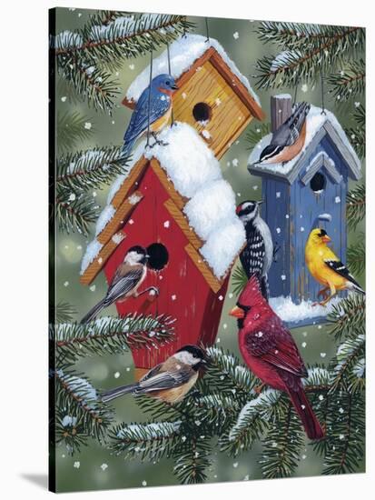 Winter Birdhouses-William Vanderdasson-Stretched Canvas