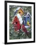 Winter Birdhouses-William Vanderdasson-Framed Giclee Print