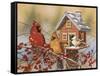 Winter Birds Buffet-William Vanderdasson-Framed Stretched Canvas