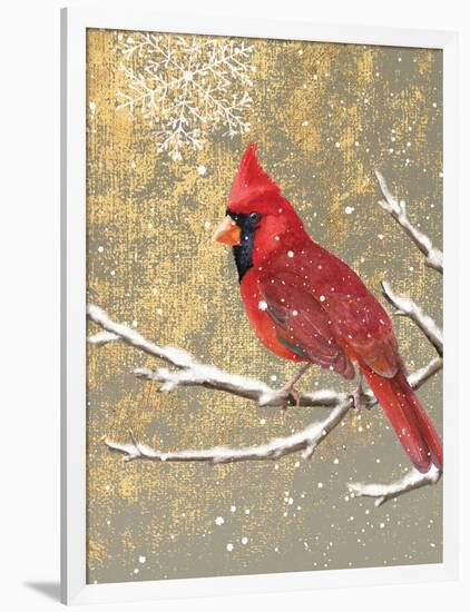 Winter Birds Cardinal Color-Beth Grove-Framed Art Print