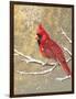 Winter Birds Cardinal Color-Beth Grove-Framed Art Print