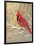 Winter Birds Cardinal Color-Beth Grove-Framed Art Print