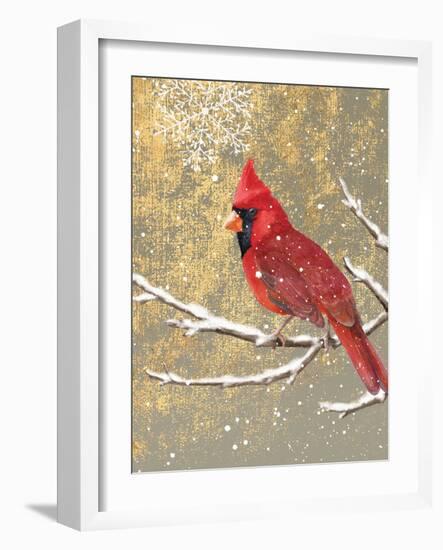 Winter Birds Cardinal Color-Beth Grove-Framed Art Print