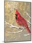 Winter Birds Cardinal Color-Beth Grove-Mounted Art Print