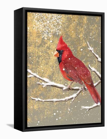 Winter Birds Cardinal Color-Beth Grove-Framed Stretched Canvas
