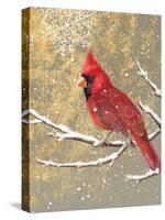 Winter Birds Cardinal Color-Beth Grove-Stretched Canvas