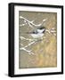 Winter Birds Chicadee Neutral-Beth Grove-Framed Art Print