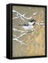 Winter Birds Chicadee Neutral-Beth Grove-Framed Stretched Canvas