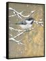 Winter Birds Chicadee Neutral-Beth Grove-Framed Stretched Canvas