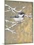 Winter Birds Chicadee Neutral-Beth Grove-Mounted Art Print