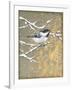 Winter Birds Chicadee Neutral-Beth Grove-Framed Art Print