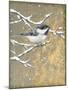 Winter Birds Chicadee Neutral-Beth Grove-Mounted Art Print