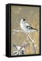 Winter Birds Goldfinch Neutral-Beth Grove-Framed Stretched Canvas