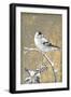 Winter Birds Goldfinch Neutral-Beth Grove-Framed Art Print