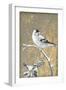 Winter Birds Goldfinch Neutral-Beth Grove-Framed Art Print