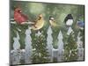 Winter Birds on a Snowy Fence-William Vanderdasson-Mounted Giclee Print