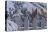 Winter Birds-Jeffrey Hoff-Stretched Canvas