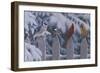 Winter Birds-Jeffrey Hoff-Framed Giclee Print