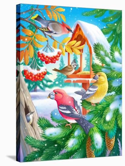 Winter Birds-Olga Kovaleva-Stretched Canvas
