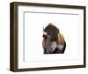 Winter Bison, Yellowstone-Jason Savage-Framed Art Print