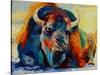 Winter Bison-Marion Rose-Stretched Canvas