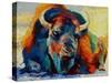 Winter Bison-Marion Rose-Stretched Canvas