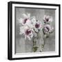 Winter Bloom-Tania Bello-Framed Giclee Print