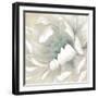 Winter Blooms II-Carol Robinson-Framed Art Print