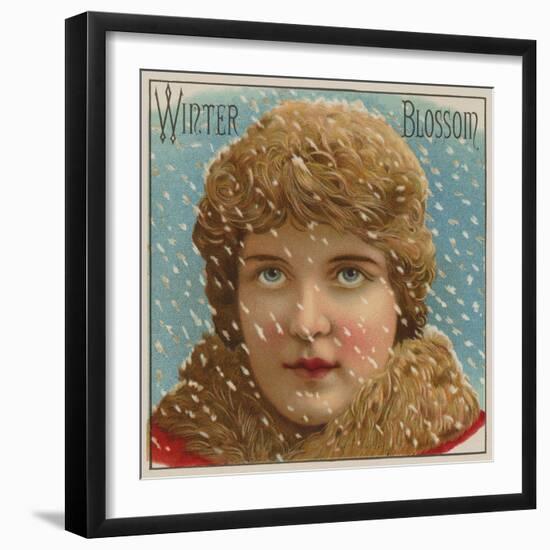 Winter Blossom Cigar Label-null-Framed Giclee Print