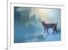 Winter Bobcat-Jai Johnson-Framed Giclee Print