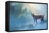 Winter Bobcat-Jai Johnson-Framed Stretched Canvas