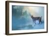 Winter Bobcat-Jai Johnson-Framed Giclee Print