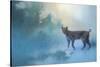 Winter Bobcat-Jai Johnson-Stretched Canvas