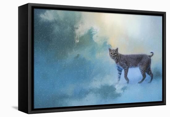 Winter Bobcat-Jai Johnson-Framed Stretched Canvas