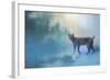 Winter Bobcat-Jai Johnson-Framed Giclee Print