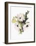 Winter Bouquet 1-Megan Swartz-Framed Art Print