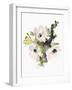 Winter Bouquet 1-Megan Swartz-Framed Art Print