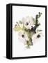 Winter Bouquet 1-Megan Swartz-Framed Stretched Canvas