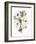 Winter Bouquet 2-Megan Swartz-Framed Art Print