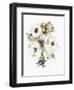 Winter Bouquet 2-Megan Swartz-Framed Art Print