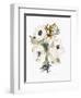 Winter Bouquet 2-Megan Swartz-Framed Art Print