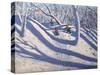 Winter Bramcote Nottingham, 2008-Andrew Macara-Stretched Canvas