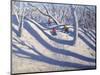 Winter Bramcote Nottingham, 2008-Andrew Macara-Mounted Giclee Print