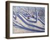 Winter Bramcote Nottingham, 2008-Andrew Macara-Framed Giclee Print