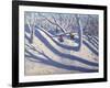 Winter, Bramcote, Nottingham, 2009-Andrew Macara-Framed Giclee Print