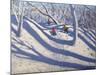 Winter, Bramcote, Nottingham, 2009-Andrew Macara-Mounted Giclee Print