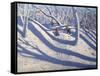 Winter, Bramcote, Nottingham, 2009-Andrew Macara-Framed Stretched Canvas