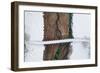 Winter Bridge-Ales Krivec-Framed Giclee Print
