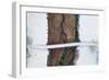 Winter Bridge-Ales Krivec-Framed Giclee Print