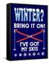 Winter Bring it Skis-Mark Frost-Framed Stretched Canvas